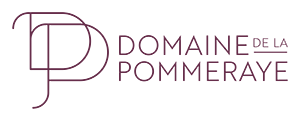 LOGO_DP